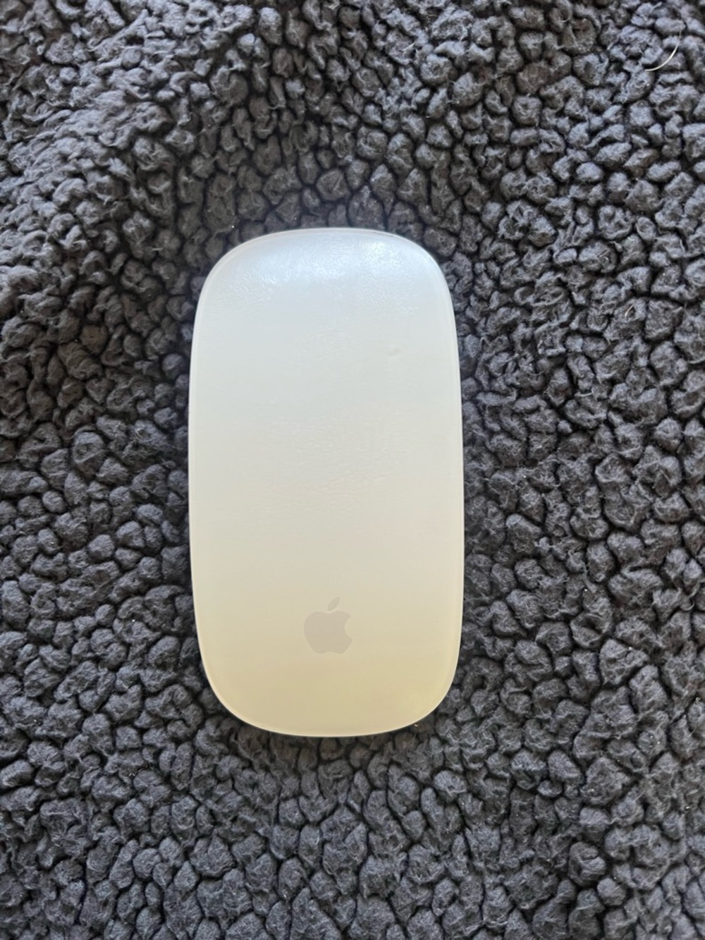 Apple Wireless Mouse in Silver and Black